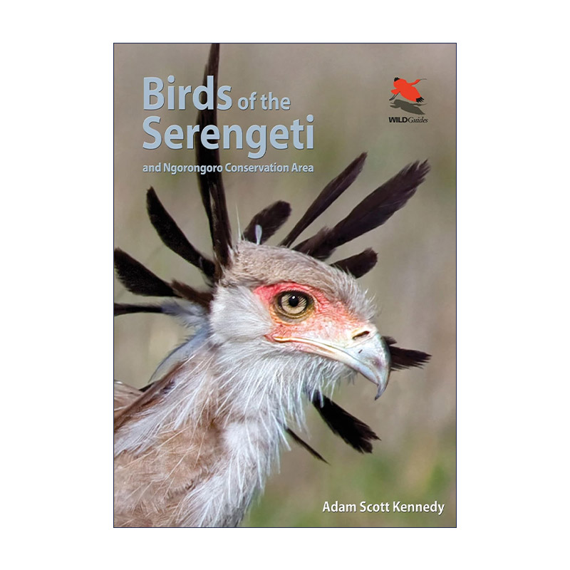 英文原版 Birds of the Serengeti 塞伦盖蒂鸟类指南 恩戈罗恩戈罗自然保护区 普林斯顿野生动物探险家指南 Adam Scott Kennedy 书籍/杂志/报纸 科普读物/自然科学/技术类原版书 原图主图