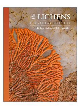 英文原版 The Lives of Lichens 地衣的生活 一部自然史 科普百科 普林斯顿大学出版社 Robert Lücking 精装 进口英语原版书籍