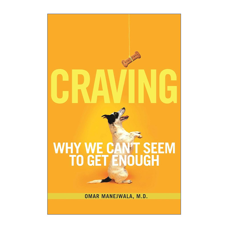 英文原版 Craving 与自我和解 超越强迫 成瘾和自毁行为的治愈之旅 英文版 进口英语原版书籍