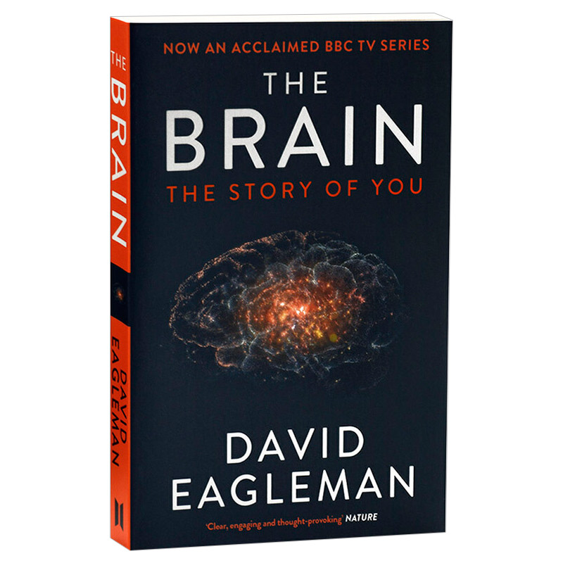 英文原版 大脑的故事 The Brain The Story of You 深入大脑