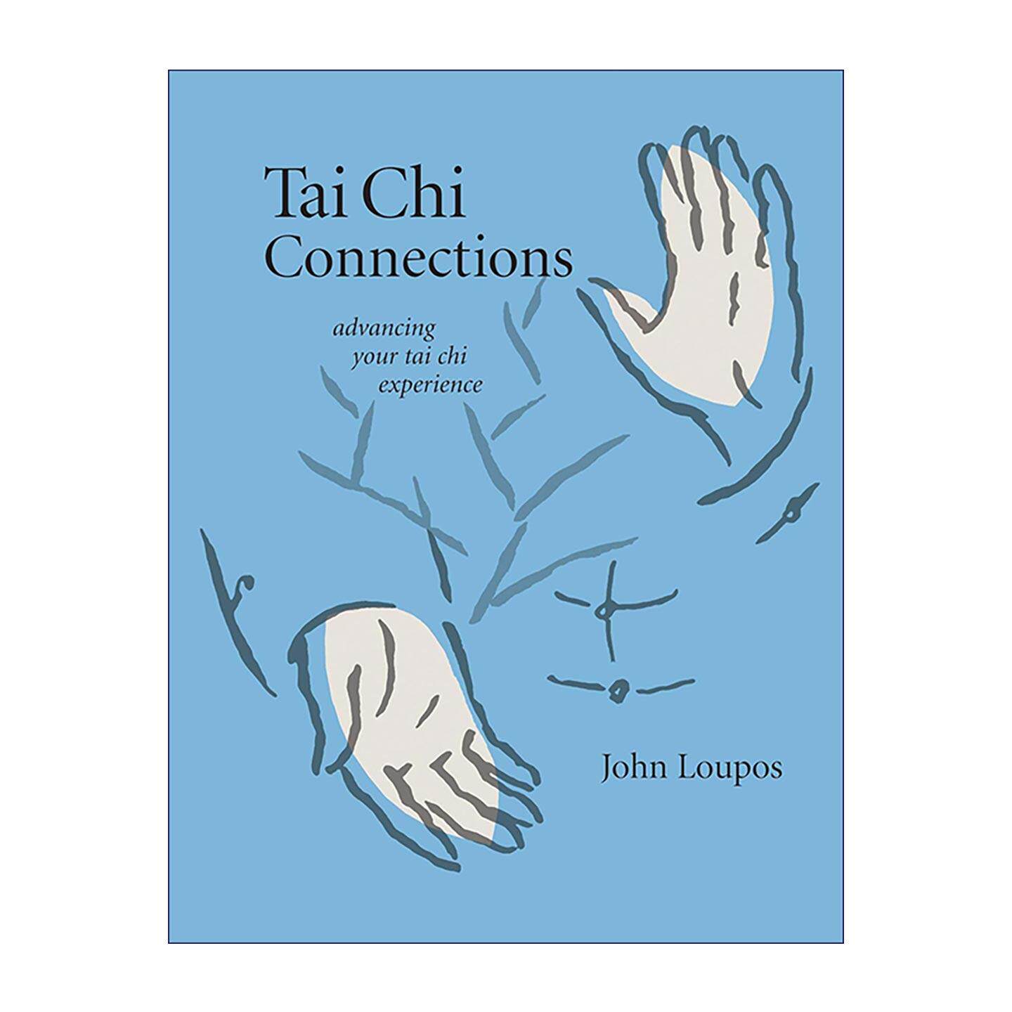 英文原版 Tai Chi Connections 太极进阶修习指南 招式内气身心贯通 英文版 进口英语原版书籍