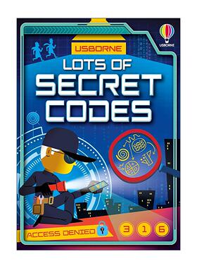 英文原版 Usborne Lots of Secret Codes 破译密码 尤斯伯恩儿童益智游戏活动书 英文版 进口英语原版书籍