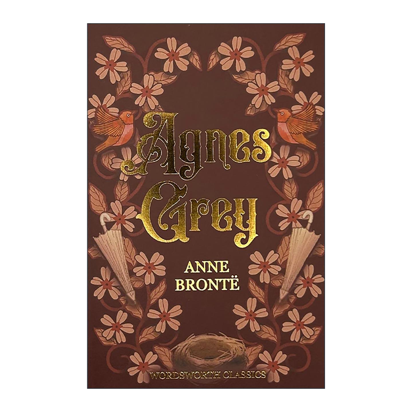 英文原版 Agnes Grey 艾格妮丝格雷 安妮勃朗特 Wordsworth经典文学系列 英文版 进口英语原版书籍