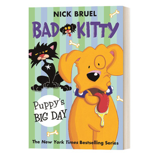 坏小猫 Bad Big 英文原版 小狗 进口英语原版 Puppy 英文版 Kitty 书籍儿童图书 大日子 Day