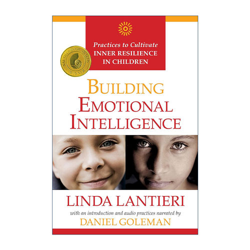 英文原版 Building Emotional Intelligence  培养情商 培养儿童内在力量技能 英文版 进口英语原版书籍