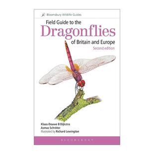 英文原版 Field Guide to the Dragonflies of Britain and Europe 英国及欧洲蜻蜓类野外指南 英文版 进口英语原版书籍
