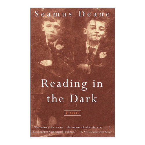 英文原版 Reading in the Dark Vintage International 在黑暗中阅读 卫报小说奖 Seamus Deane 英文版 进口英语原版书籍