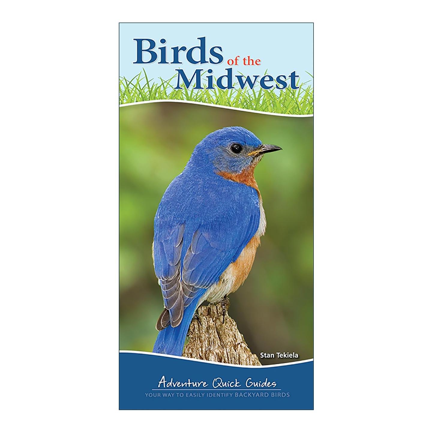 英文原版 Birds of the Midwest 中西部的鸟类 轻松识别后院鸟类 观鸟指南 Stan Tekiela 英文版 进口英语原版书籍