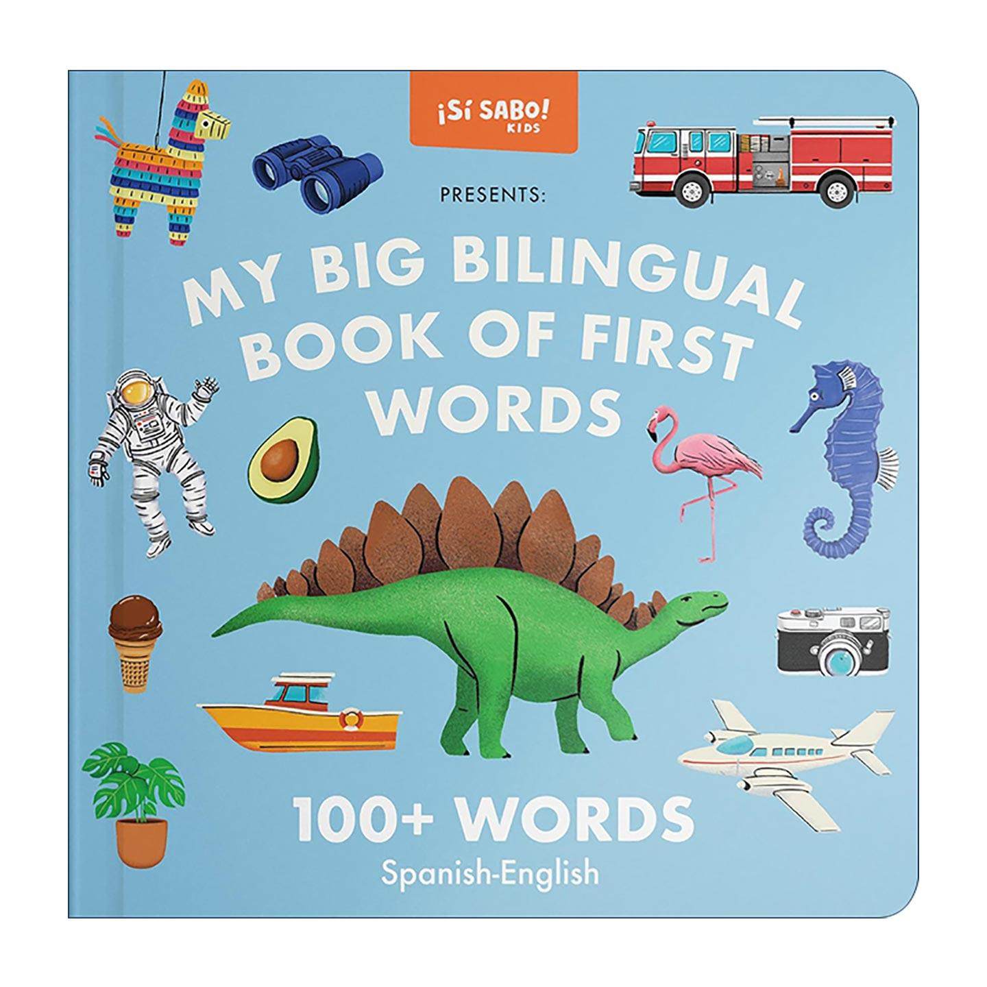 原版 My Big Bilingual Book of First Words 我的双语启蒙词典 英语西班牙语词汇学习积累 儿童精装绘本 Mike Alfaro进口原版书籍
