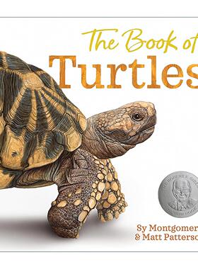 英文原版 The Book of Turtles 乌龟之书 精装 西伯特银奖 美国图书馆协会推荐童书 英文版 进口英语原版书籍