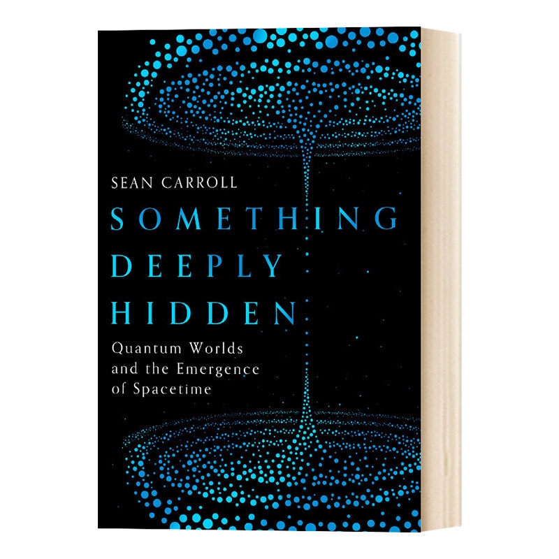 精装 深藏的东西 英文原版 Something Deeply Hidden 量子世界和时空的出现 英文版进口原版英语书籍