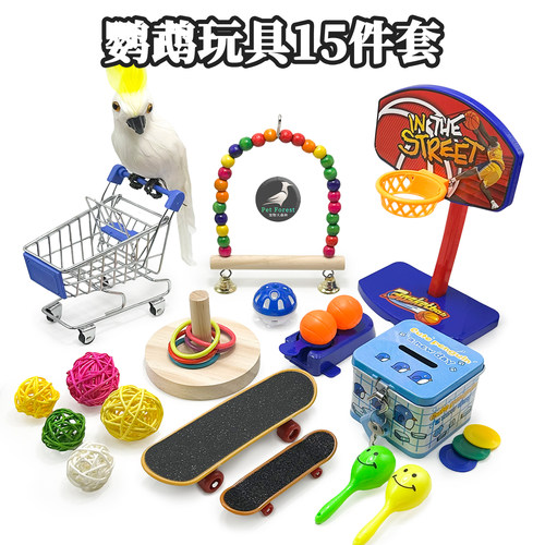 鹦鹉训练玩具全套大全