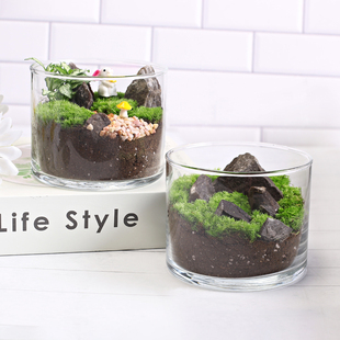10c直筒苔藓微景观生态瓶趣味植物创意DIY材料包迷你玻璃盆栽礼物