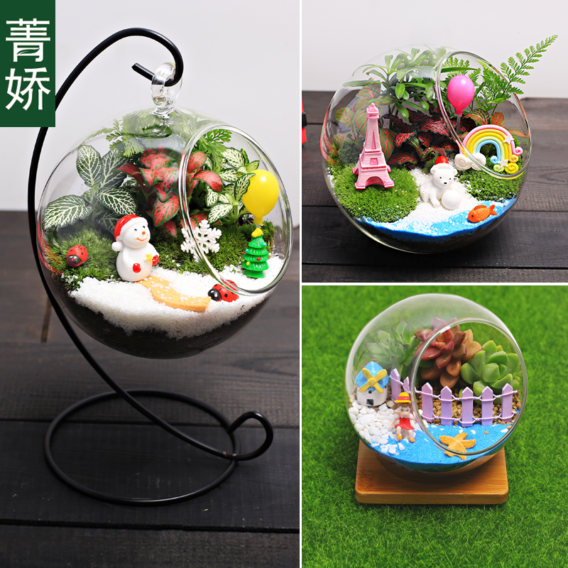玻璃微景观创意植物迷你盆栽多肉肉DIY材料包 生日礼物苔藓生态瓶