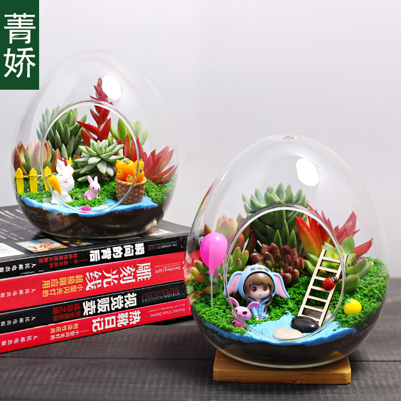 大蛋多肉玻璃瓶肉组合植物盆栽 迷你多肉小绿植盆景微景观diy材料