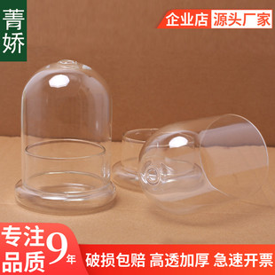 苔藓创意简约许愿生态微景观桌面透明玻璃瓶制品 大号玻璃罩