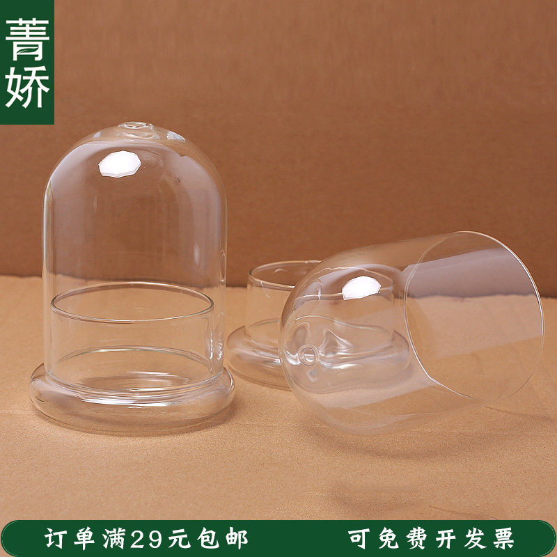 【大号玻璃罩】 苔藓创意简约许愿生态微景观桌面透明玻璃瓶制品