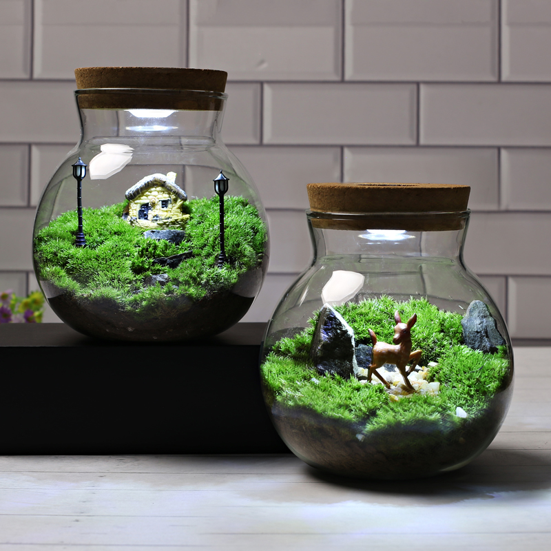 带灯O型高透明玻璃瓶苔藓微景观套餐diy材料包 纽扣电池 旋转开关