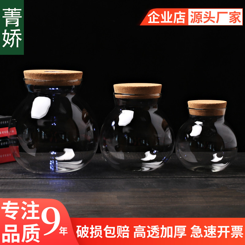 玻璃瓶微景观创意高硼硅玻璃