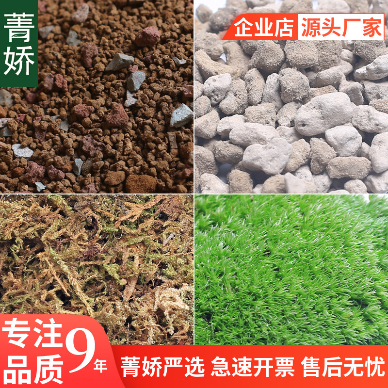 菁娇 苔藓微景观diy材料包 微景观生态瓶制作营养土轻石水苔 鲜花速递/花卉仿真/绿植园艺 苔藓微景观 原图主图