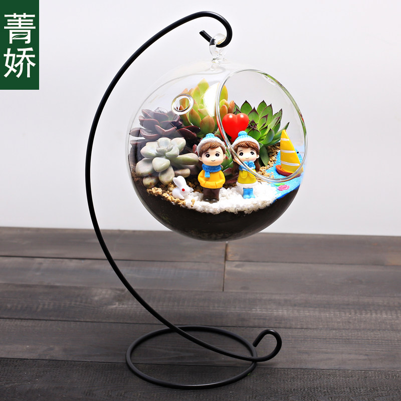16新年多肉植物春节日微景观diy材料组合装饰品造景小盆栽器摆件