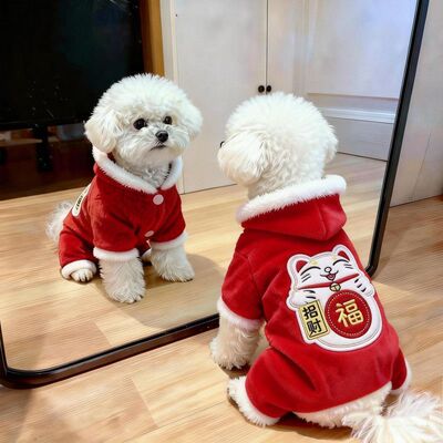 狗狗衣服秋冬款喜庆招财四脚衣泰迪比熊小型犬宠物猫咪保暖防掉毛