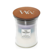 yankee扬洋杨基香薰蜡烛宁静空间calmquietplace宁静时光隐居好物