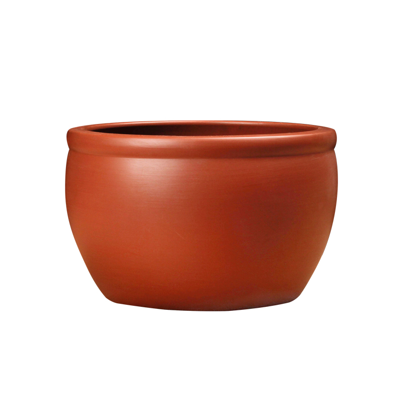 芦笋盆景Clivia草碗紫砂精品花盆室内绿色植物竹花盆中式铜钱莲花