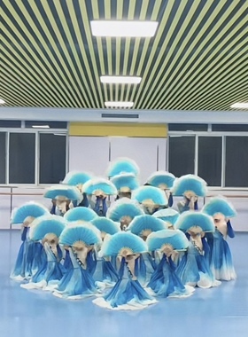 定做一条大河舞蹈源古典舞扇子舞服装演出服少儿群舞艺考演出服装