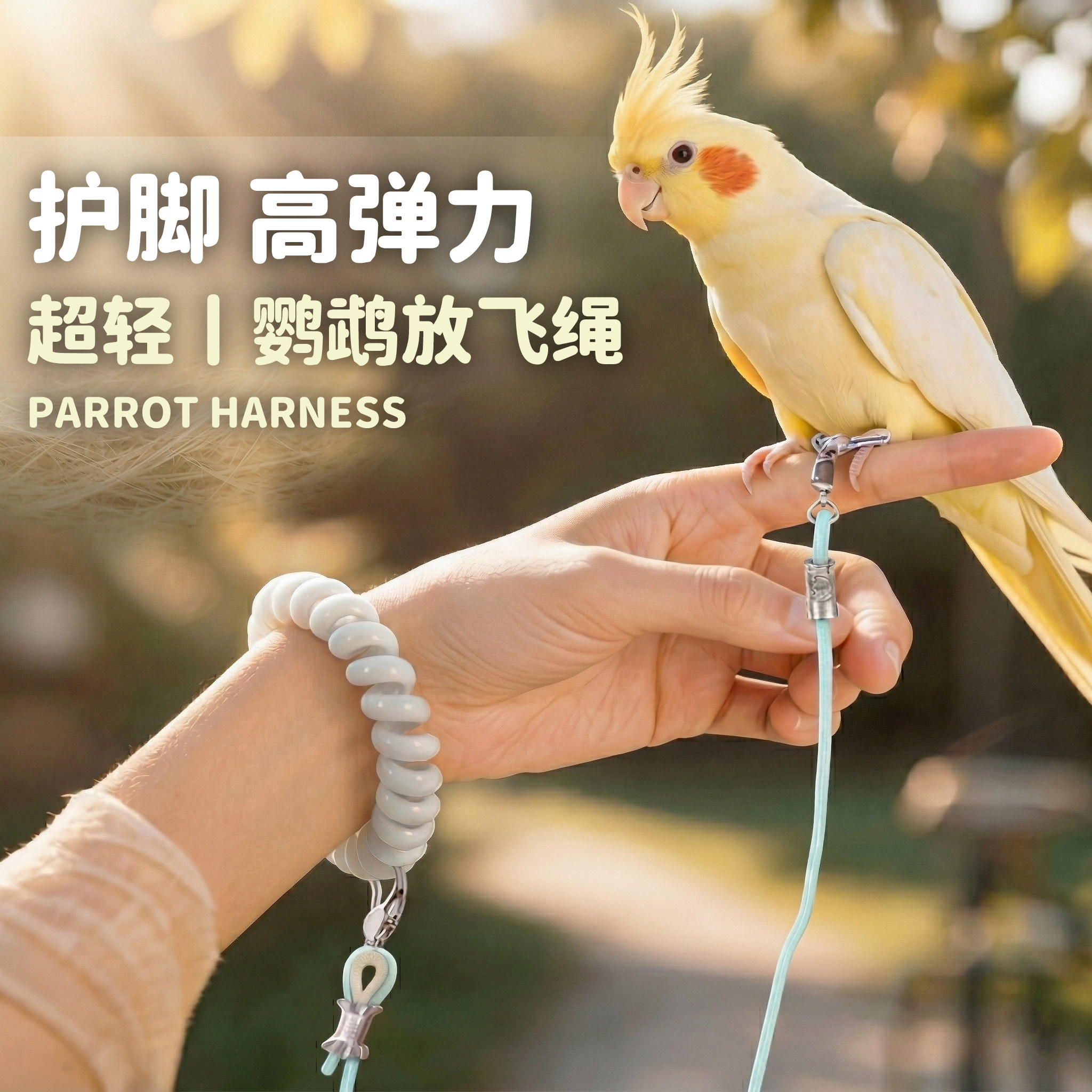 鹦鹉放飞绳不伤脚超轻牵引绳虎皮玄凤牡丹小太阳脚环脚链遛鸟绳芰
