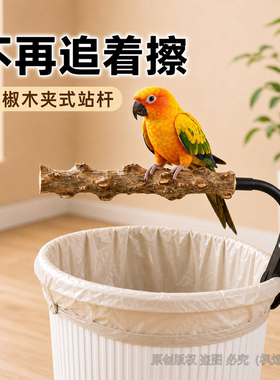 鹦鹉垃圾桶花椒木夹式站杆