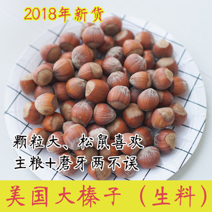 大榛子松鼠粮食吃的食物生料主食原味坚果 磨牙零食宠物用品