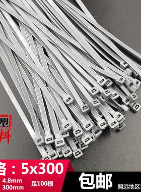 5x300国标(4.8)长30cm彩色银灰色塑料锁扣尼龙扎带足量100根新光