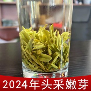 250克黄茶叶 霍山黄芽2024年新茶安徽大化坪明前黄芽嫩芽正宗罐装