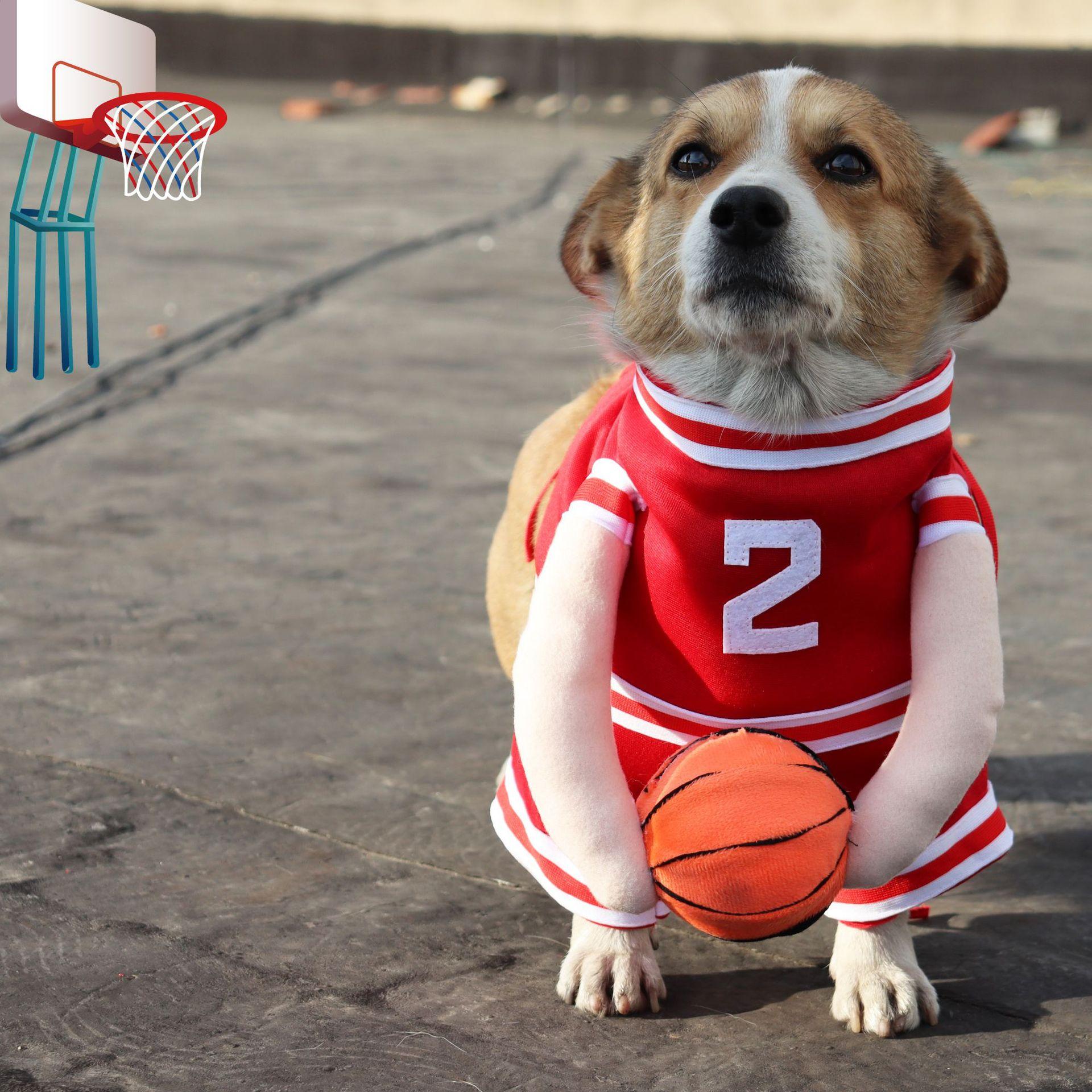 网红新款DogCostume带球的狗篮球服搞怪猫咪变身装直立搞笑立体衣