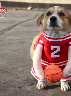 网红新款DogCostume带球的狗篮球服搞怪猫咪变身装直立搞笑立体衣