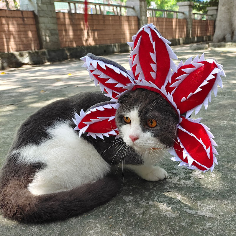 搞怪万圣节猫咪狗狗食人花头套