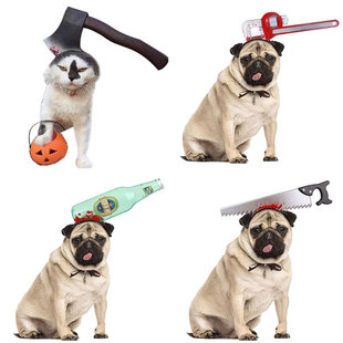 万圣节搞鬼整蛊宠物狗狗猫咪头饰多种搞笑头套中小型犬通用饰品