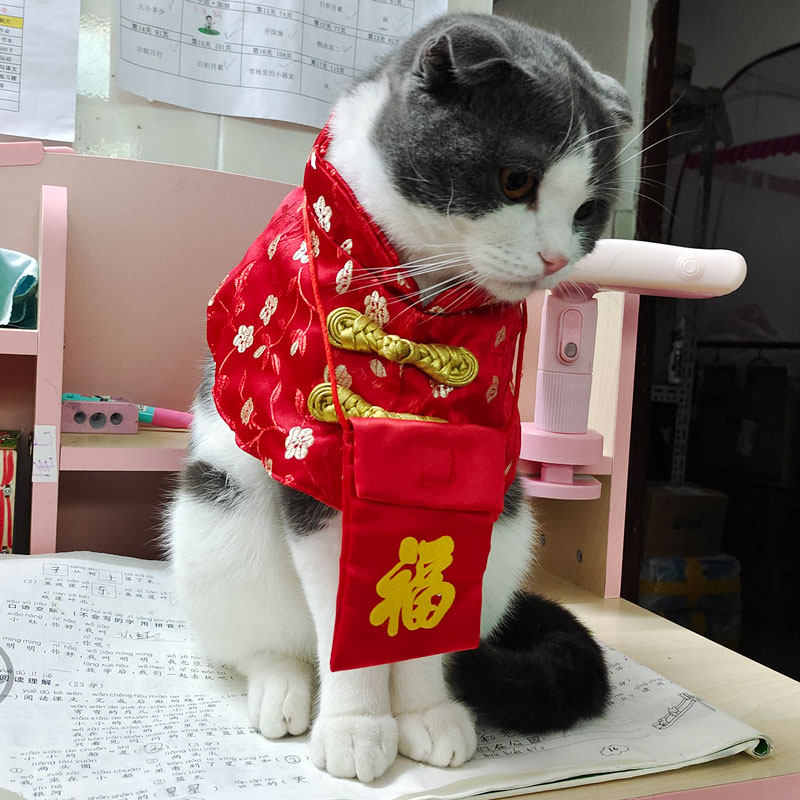 可爱猫咪博美唐装喜庆斗篷薄款