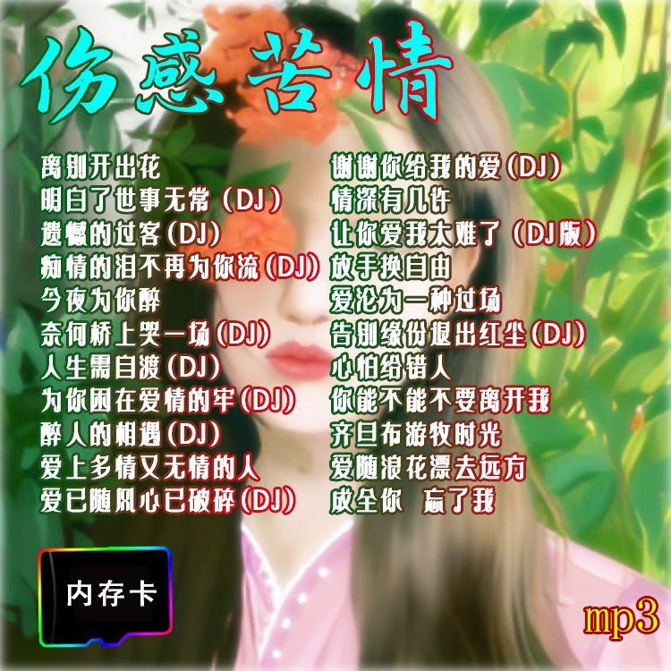 抖音精选催泪情歌车载伤感