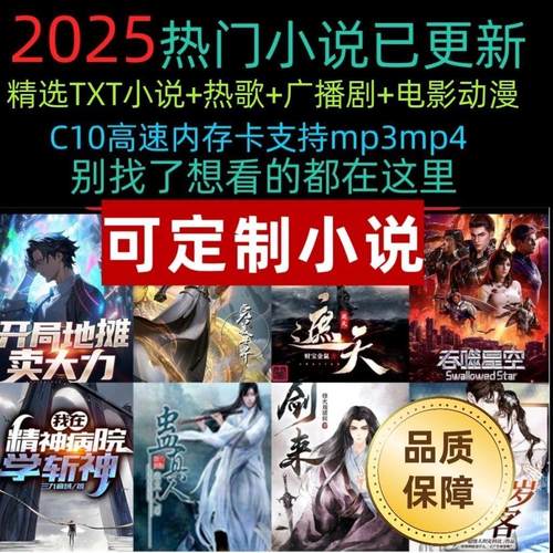 TX电子书小说内存卡FMP34