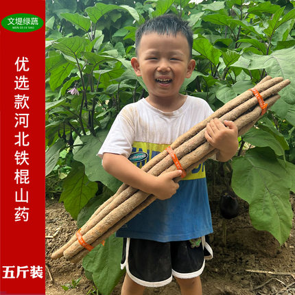 精品果王60厘米以上铁棍5斤装农家自产自销蠡县特产新鲜好吃