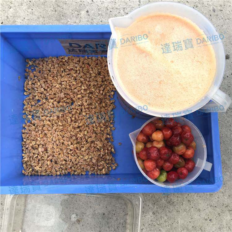 *西北沙棘醋栗去耔榨汁机 新疆酸刺去核取汁机 桑梓打浆脱水机