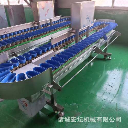 粽子配重分选机 海鲜类在线全自动检重秤机 盒式重量分装机