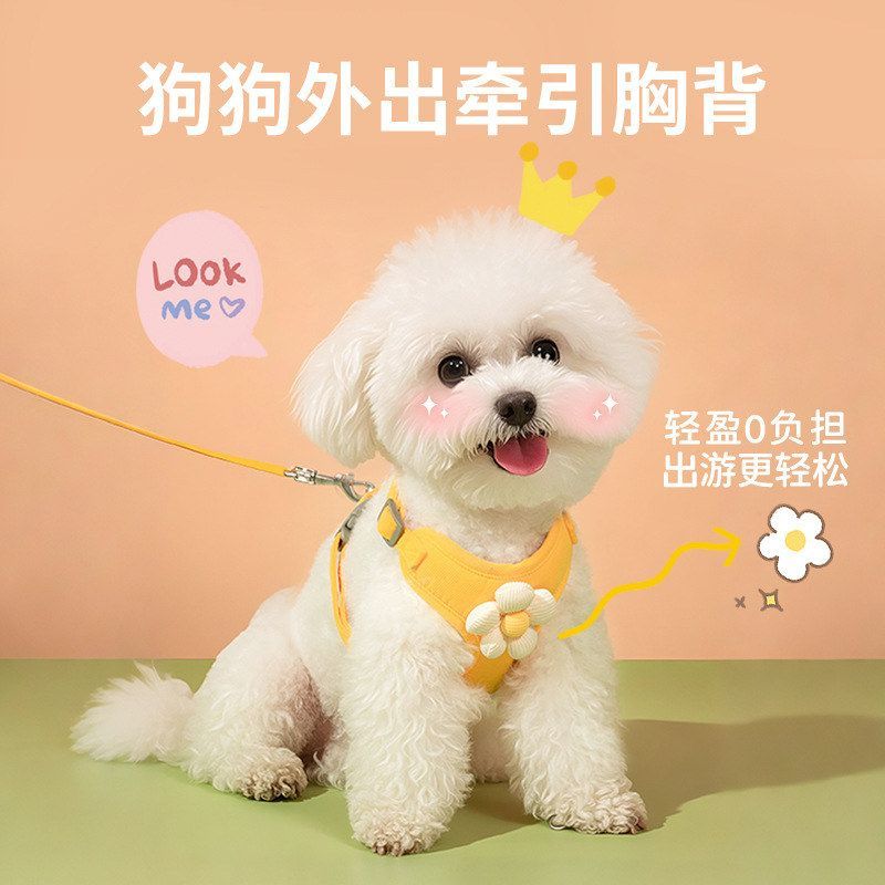 宠物外出小雏菊绣花牵引绳花边背心狗狗猫咪胸背带小型犬胸背