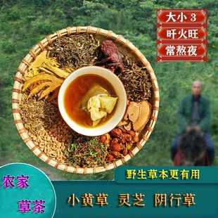养旰茶大三阳阴转茶转氨酶胆红素口干口苦小三阳阴行草茶