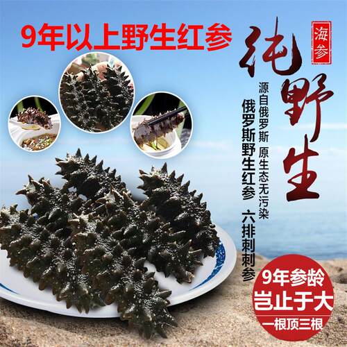 俄罗斯进口野生大红淡干海参礼盒