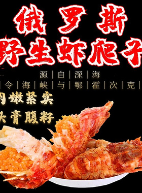 俄罗斯进口野生熟冻虾爬子 小熊甲壳格陵兰莱伯虾 鬼海老礼盒顺丰