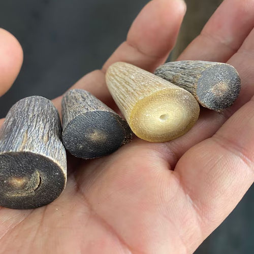 天然披毛犀角尖碎料非犀角粉老亚角丝料高端鱼子纹竹丝纹养生仙品