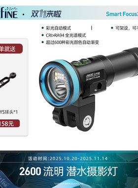 WEEFINE WF103 SmartFocus2600多功能水下闪光灯视频补光灯彩光灯